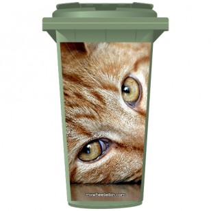 Tabby Cat Eyes Wheelie Bin Sticker Panel